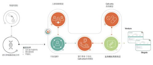 AI點(diǎn)亮生命之光 TRI智能技術(shù)為復(fù)發(fā)白血病患兒預(yù)測求生方案